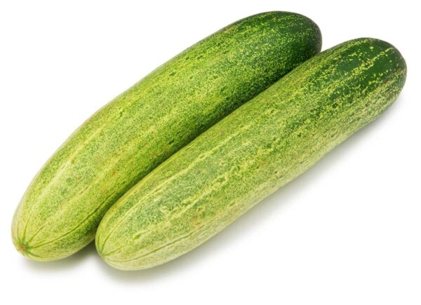 Cucumber (Keera Dosa) -5piece Box