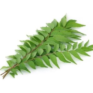Aromatic curry leaves - 1 Brunch Aromatic curry leaves - 1 Brunch