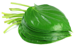 Handpicked  Beetle Leaves- 25 piece