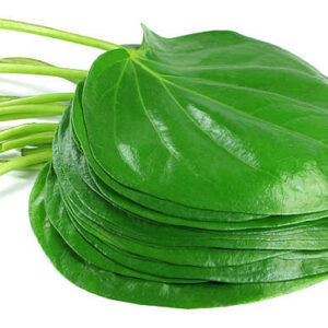 Beetle Leaves Handpicked Beetle Leaves- 25 piece