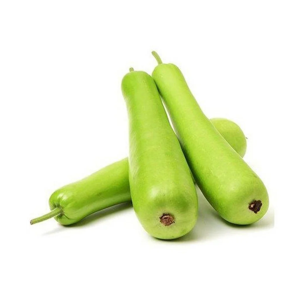 Bottle gourd-1 piece