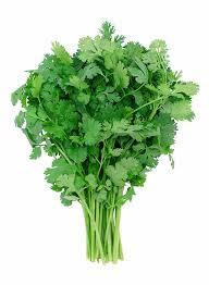 Coriander Leaves – 1 Branch