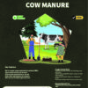 Cow manure
