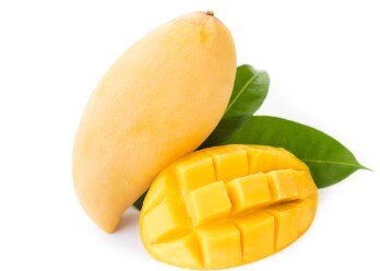 Farm Fresh Mangoes