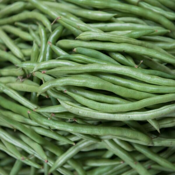 Farm-fresh bush beans - 500 Grams Farm-fresh Bush beans