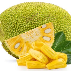 Fresh Jackfruit