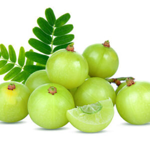 Gooseberry (Long)