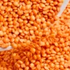 Red Lentil-Masoor Daal- ಕೆಂಪು ಲೆಂಟಿಲ್