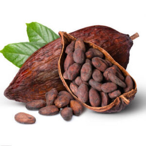 Cocoa Pods