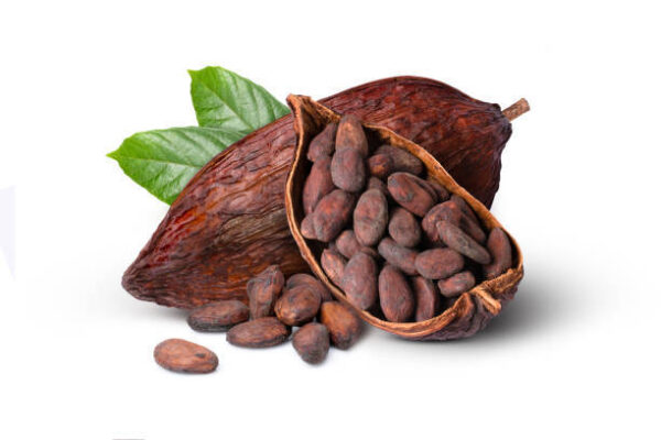 Cocoa Pods