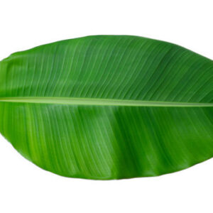 Nature’s eco-plate - Banana Leaves- 5 piece