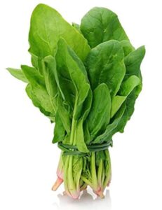 Palak