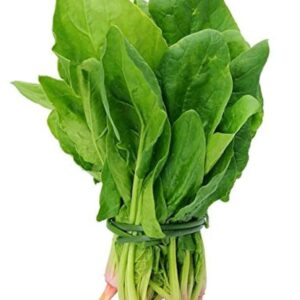 Palak