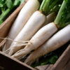 Radish- 500 grams