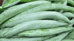 Snake Gourd- 500 Grams