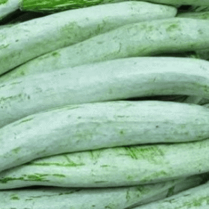 Snake Gourd- 500 Grams Snake Gourd- 500 Grams