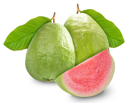 Guava