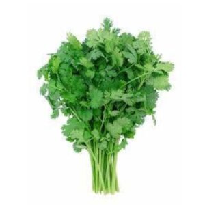 Coriander Leaves – 1 Branch
