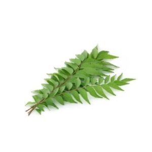 Aromatic curry leaves - 1 Brunch