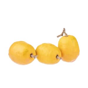 Juicy hog plums