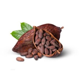 Cocoa Pods