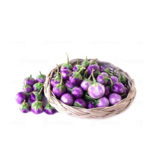 Purple round brinjals