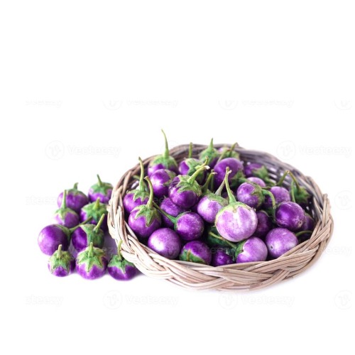 Purple round brinjals