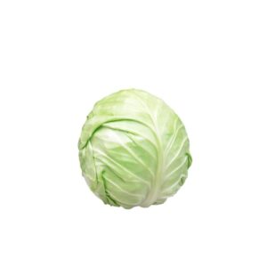 Fresh Cabbage