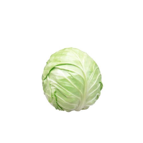 Fresh Cabbage