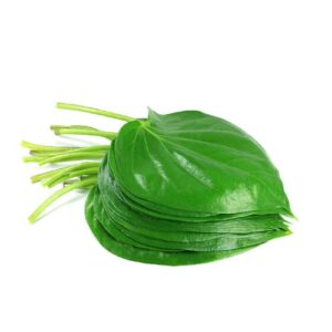 Handpicked  Beetle Leaves- 25 piece