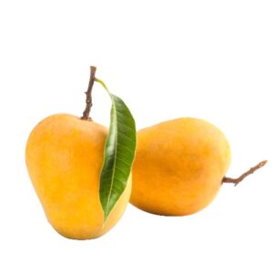 Farm Fresh Mangoes