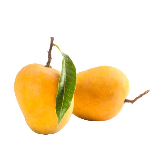 Farm Fresh Mangoes