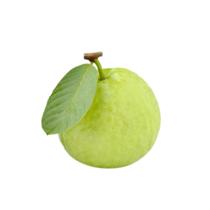 KG Guava