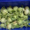 knol-3 Kohlrabi -(knol knol)- 500 Grams
