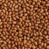 moth beans Premium Moth Beans- ಮಡಿಕೆ ಕಾಳು