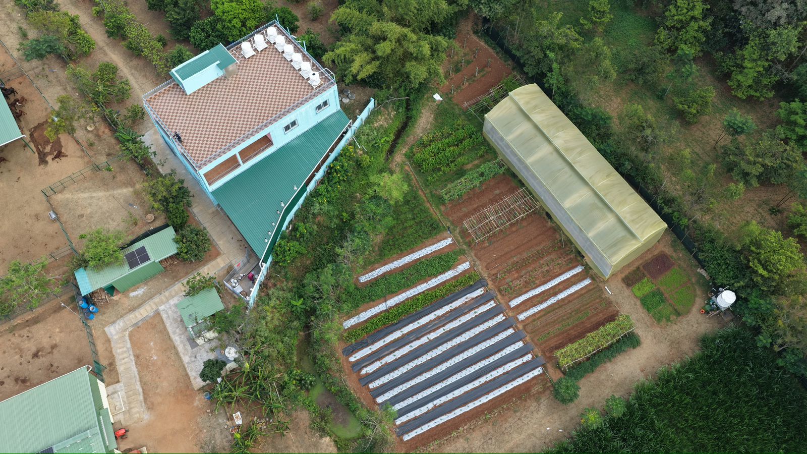 farm
