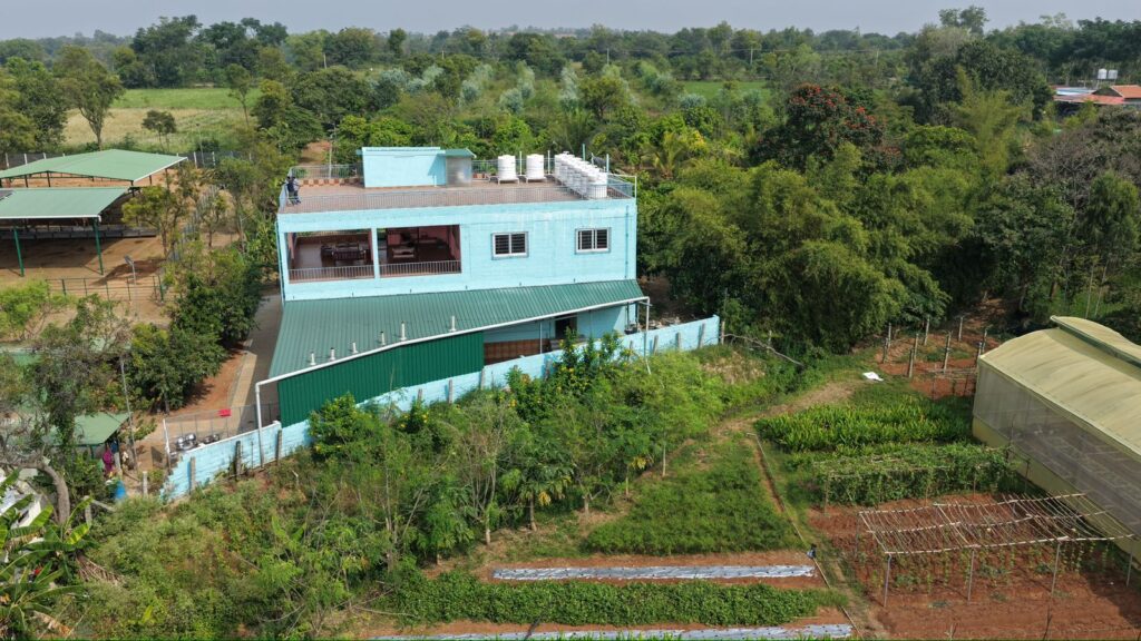 WhatsApp Image 2026-02-17 at 19.16.59 (2)