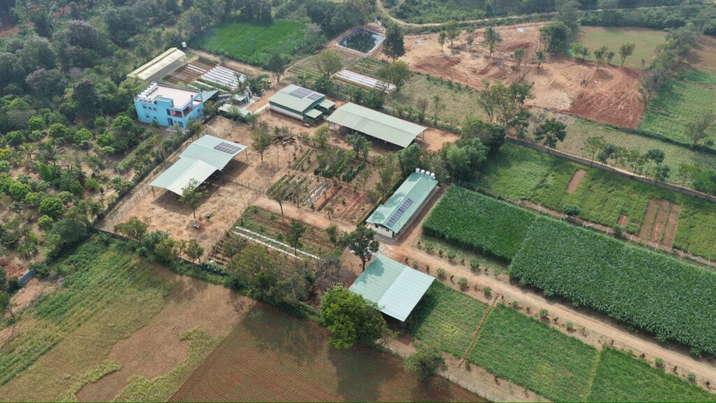 WhatsApp Image 2026-02-17 at 19.16.59 (3)