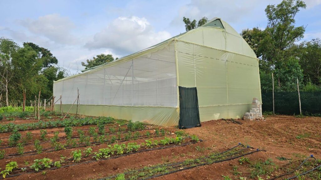 WhatsApp Image 2026-02-19 at 18.40.09 (1)