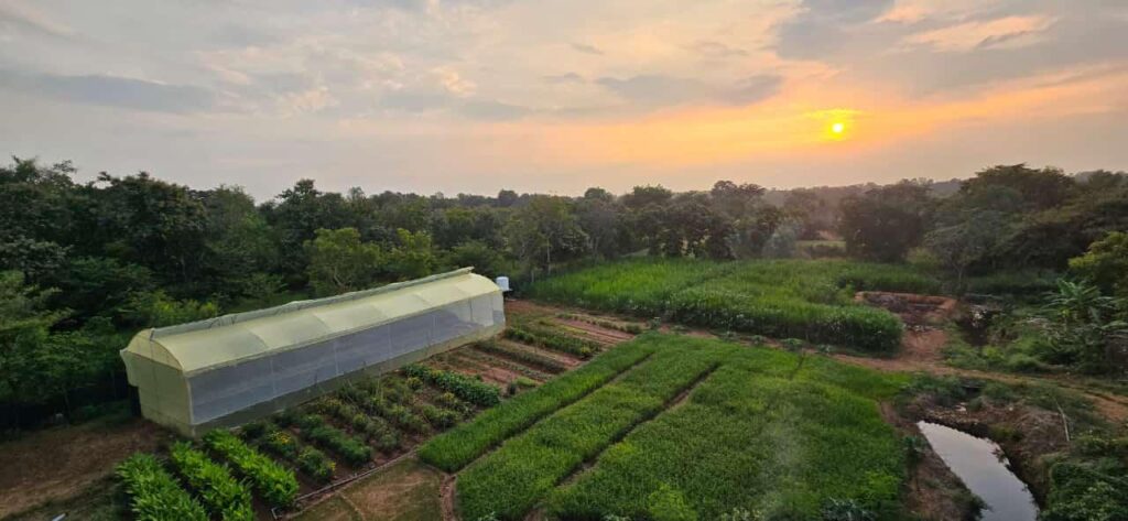 WhatsApp Image 2026-02-19 at 18.40.10 (2)