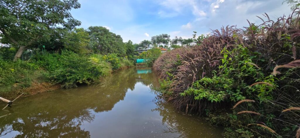 WhatsApp Image 2026-02-19 at 18.40.11