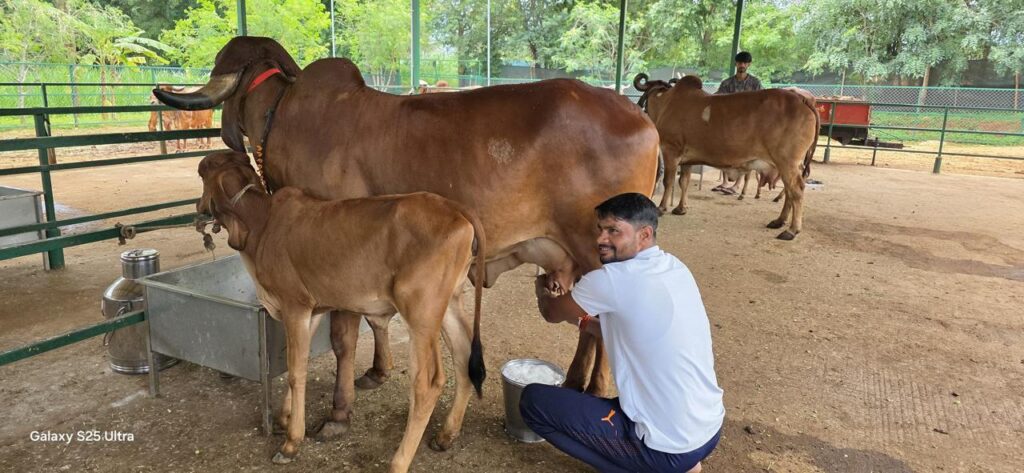 WhatsApp Image 2026-02-19 at 18.40.12 (2)