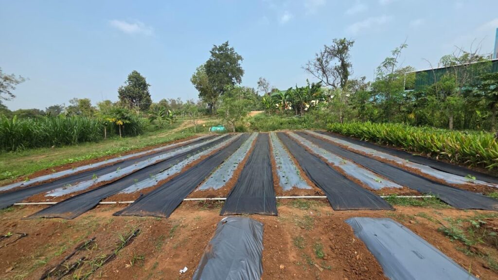 WhatsApp Image 2026-02-19 at 18.40.13 (1)