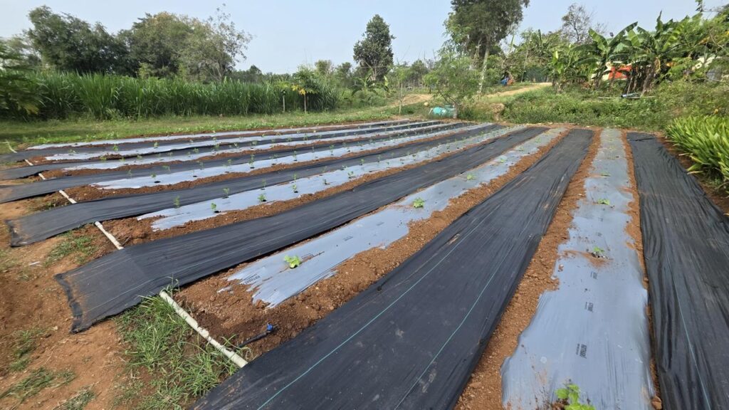 WhatsApp Image 2026-02-19 at 18.40.13