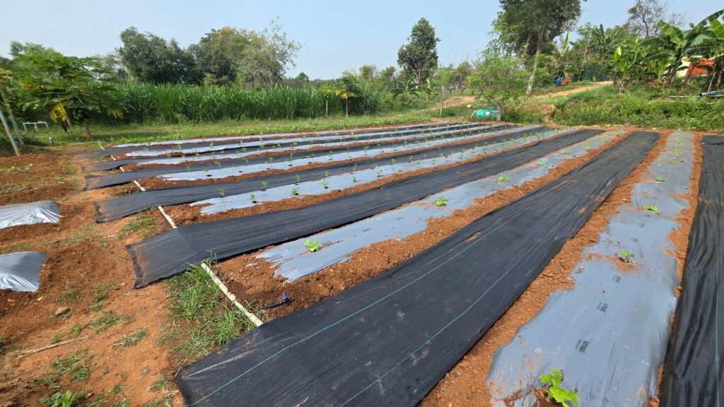 WhatsApp Image 2026-02-19 at 18.40.13 (2)