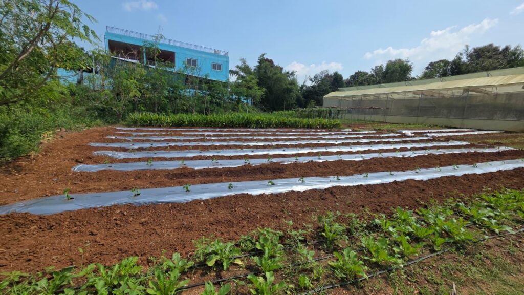 WhatsApp Image 2026-02-19 at 18.40.14