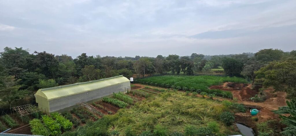 WhatsApp Image 2026-02-19 at 18.40.15