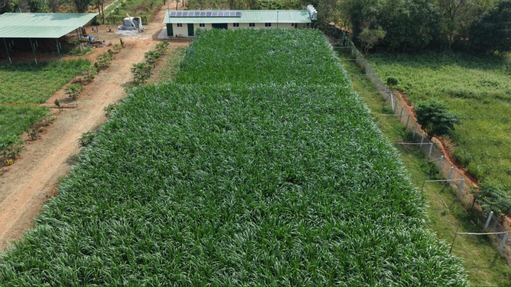 WhatsApp Image 2026-02-19 at 18.40.17 (1)