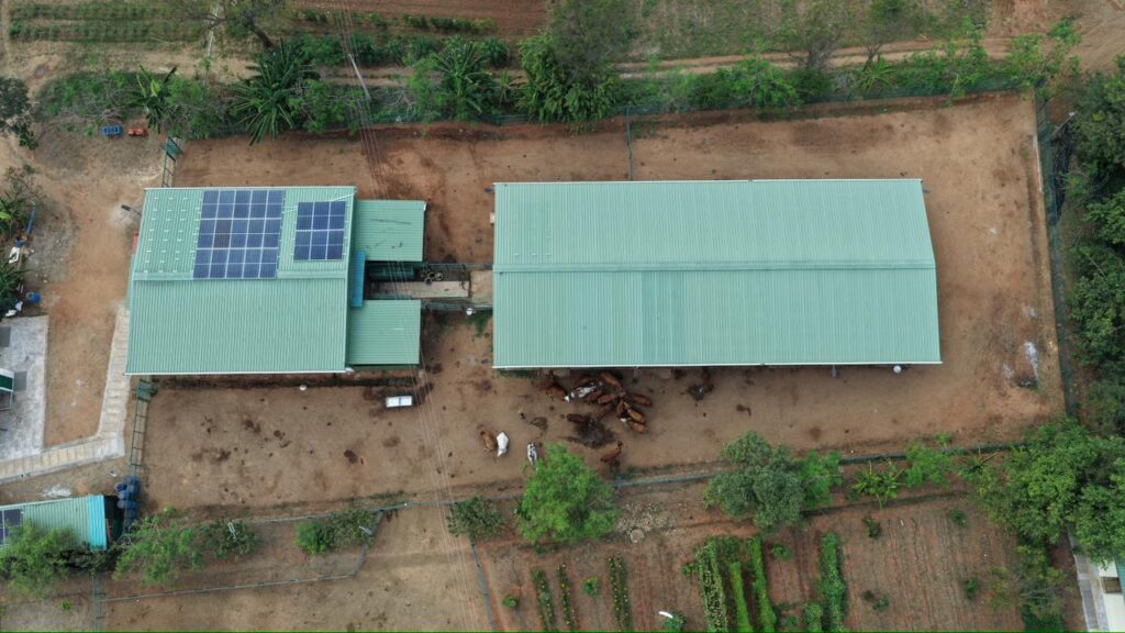 WhatsApp Image 2026-02-19 at 18.40.17