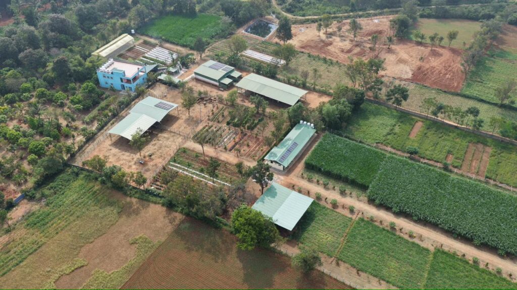 WhatsApp Image 2026-02-19 at 18.40.18 (2)